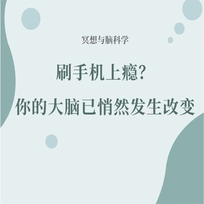 冥想与脑科学｜刷手机上瘾的真相是